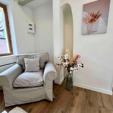 Apartment Les Celestins *