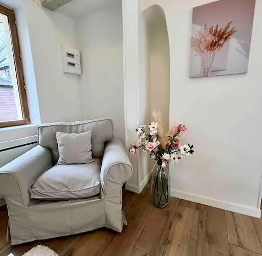 公寓 Les Celestins *