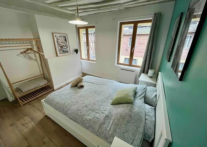 Les Celestins 公寓