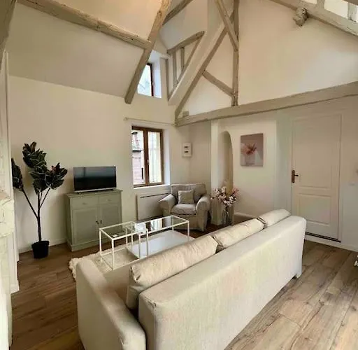 Les Celestins 公寓