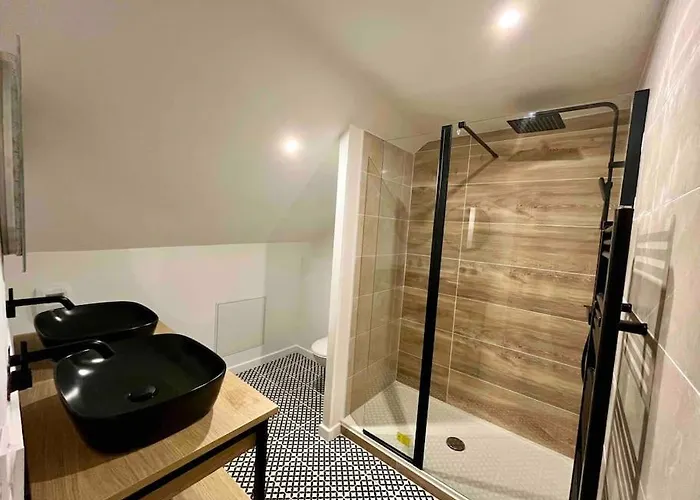 Les Celestins 公寓